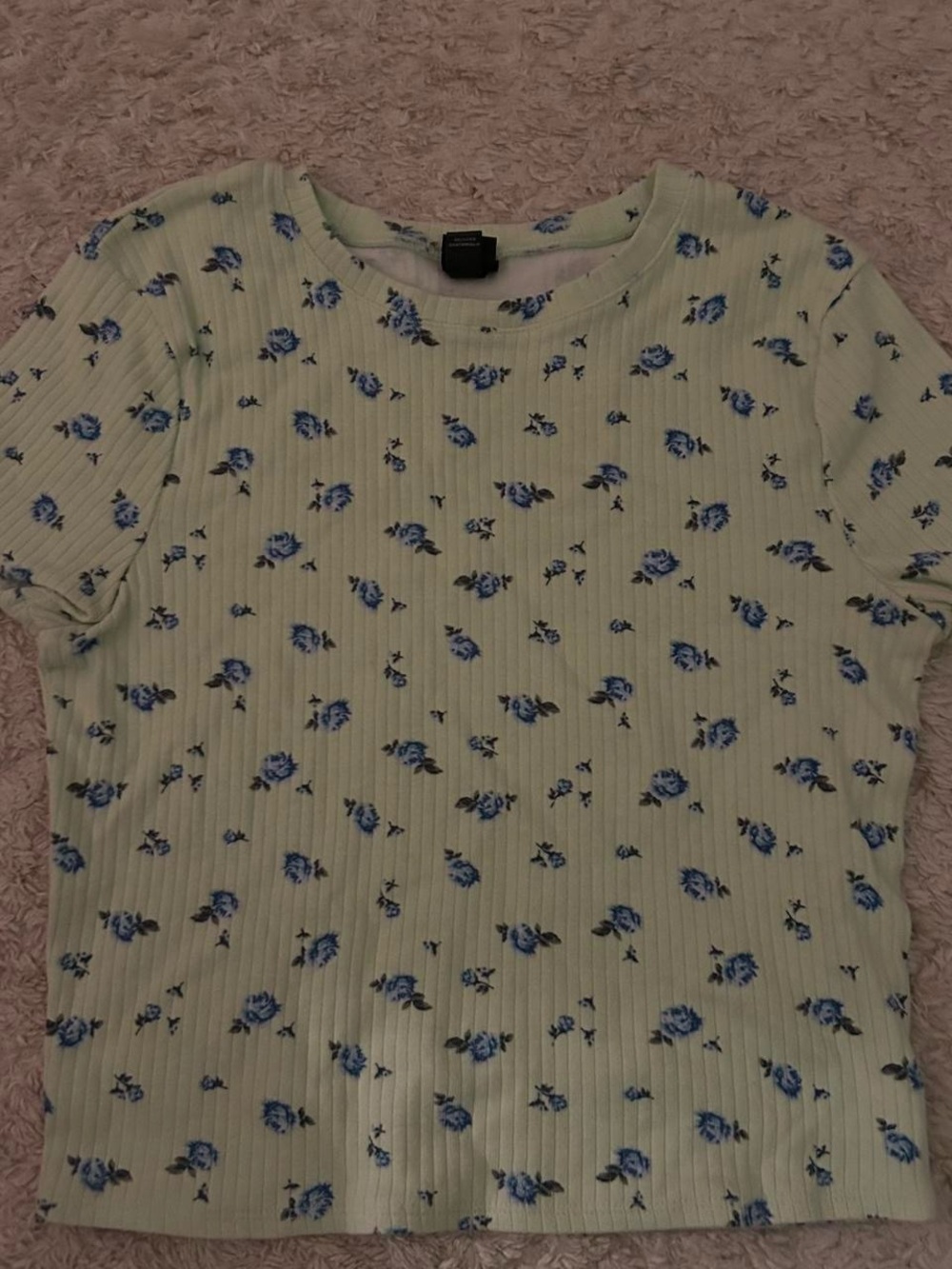 Target Light Green Ribbed Tee with Blue Rose Print